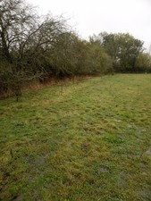 topsoil and fill soil wanted . minimum clay content preferred.   250 ton require