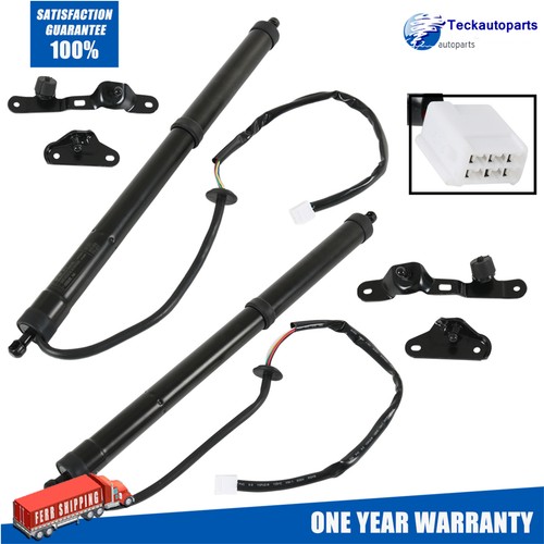 Tailgate strut electric - strut, auto