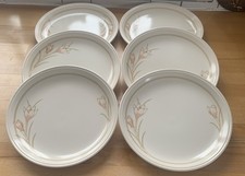 6 BILTONS Vintage Early Spring Bouquet Crocus 9 3/4” Dinner Plates Immaculate