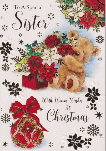 Special sister christmas - special,