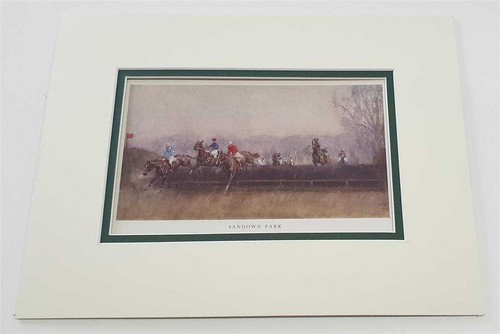 Lionel edwards sandown park - lionel,