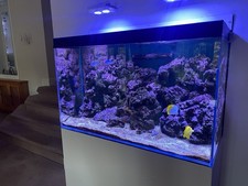 Marine Reef complete setup