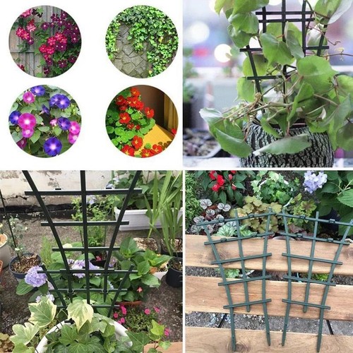 Plastic plant vine - vine, frame