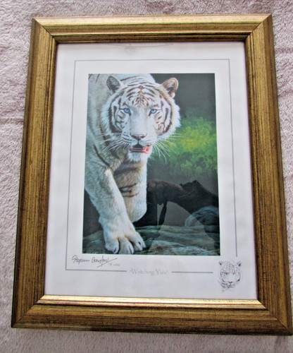 Stephen gayford watching - gayford, ‘watching