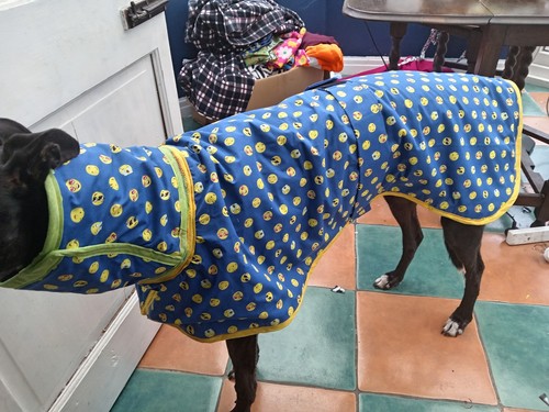 Handmade male greyhound coat - handmade,