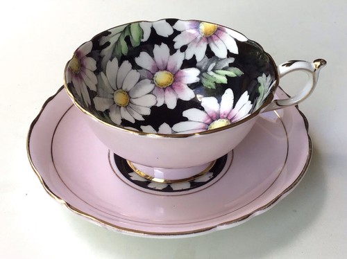 Paragon pink black double - paragon,