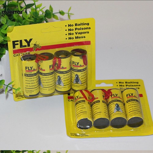 Fly insect catcher - insect, paper
