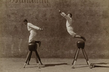 Turner on the pommel horse