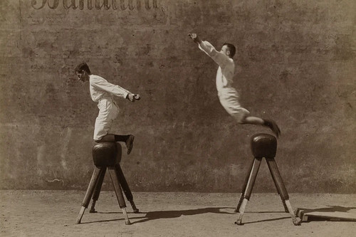 Turner the pommel - turner, horse