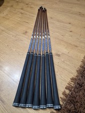 Project X LZ 5.5 / 120g Iron