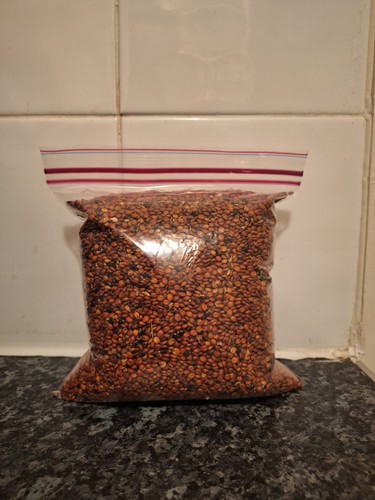 Nigerian red guinea corn - red,