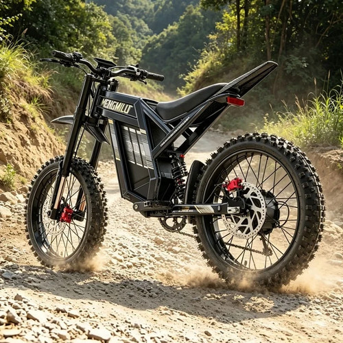Fat tyre bike - 19",