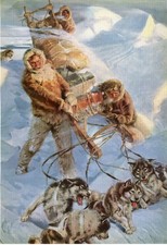 SIBERIAN HUSKY ESKIMO SLED DOGS TEAM OLD 1958 DOG ART PRINT