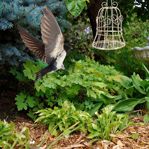 Iron gold bird - iron, decorative