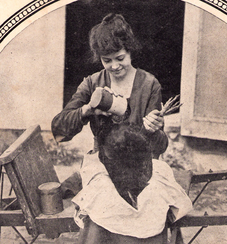 June 1925 poultry tribune - poultry,