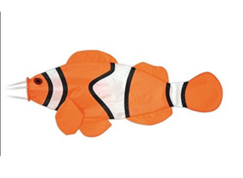 Spirit air clownfish - of,
