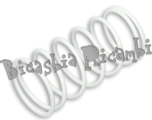 5538 white contrast spring - 5538,