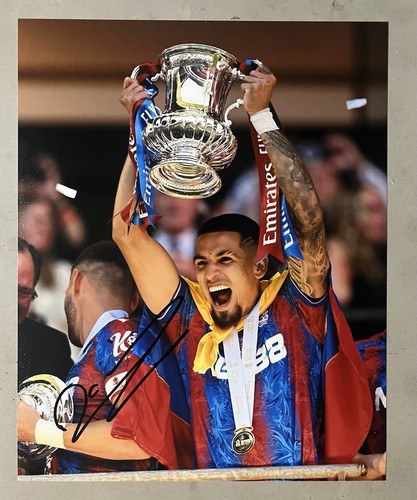 Daniel munoz hand signed 10x8 - munoz,