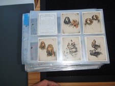 ONE COMPLETE SET CIGARETTE CARDS PLAYERS DOGS