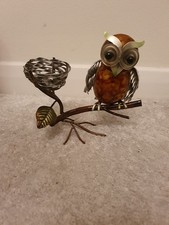 Owl On A Branch With Nest