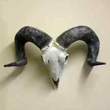 Ram Skull Hanging Sculpture