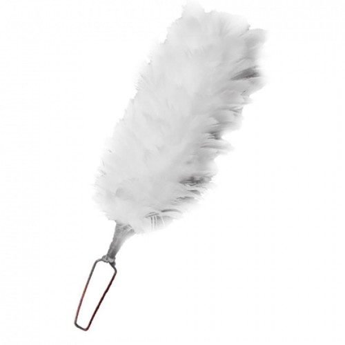 Royal welsh white - welsh,