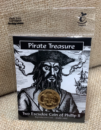 Pirates treasure coin pack - treasure,