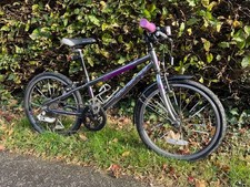 Islabikes beinn 20inch small- perfect working order. Regularly serviced.