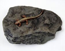 Basking Rock Vivarium Extra Large Flat Stone Ornament Lizard Gecko Spider #B