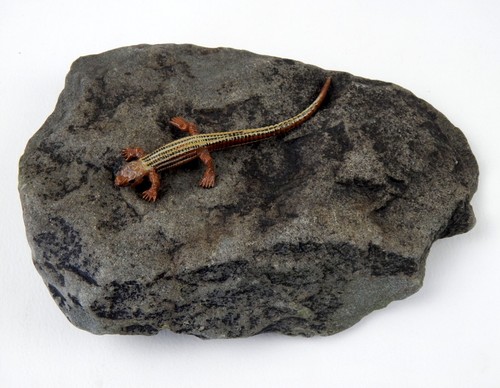 Basking rock vivarium extra - basking,