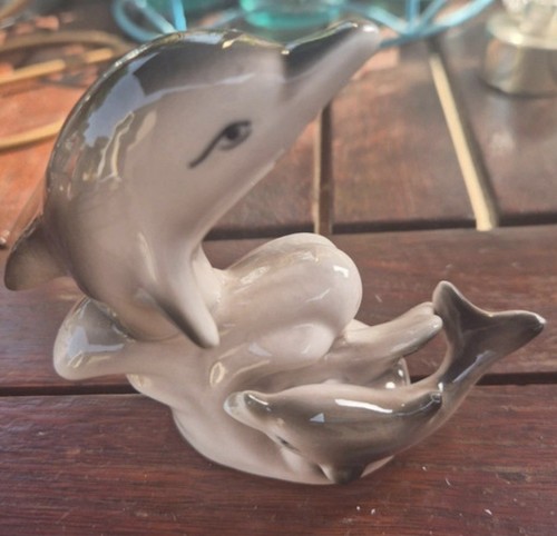 New pretty dolphin - pretty, 🐬