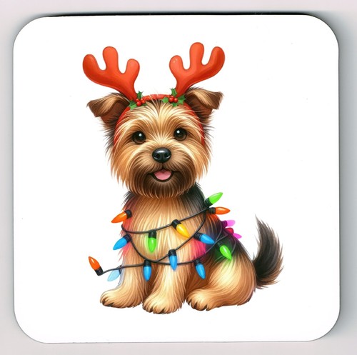 Norwich terrier coaster - terrier,