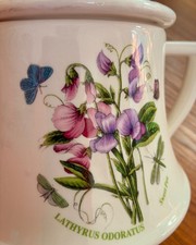 Portmeirion Botanic Garden