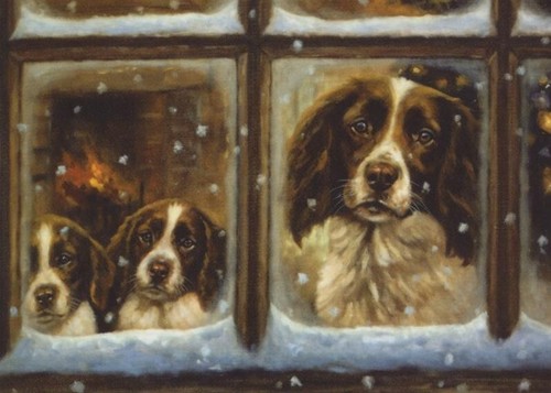 Springer spaniel dog puppy - spaniel,