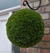 Best Artificial 28cm,36cm Conifer Cedar Topiary Balls Hanging Garden Wall Basket