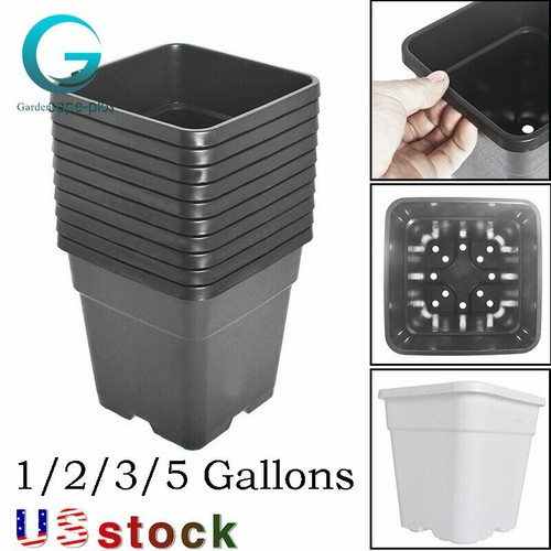 Gallon plastic grow - gallon,