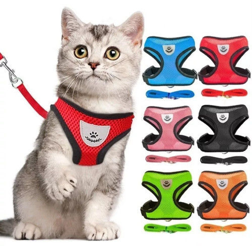 Pet cat harness - cat, walking