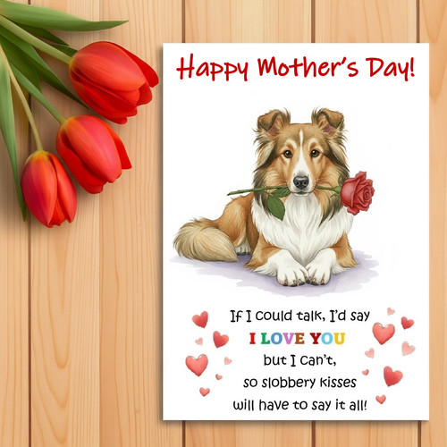 Shetland sheepdog mother - shetland, mother’s