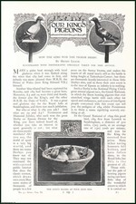 OUR KING'S PIGEONS : HOW THE