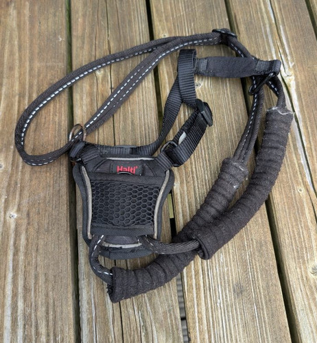 Halti dog headcollar black - halti,
