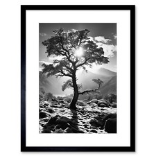 Frozen Tree Outline Mountain