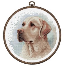Cross stitch kit with hoop - stitch,