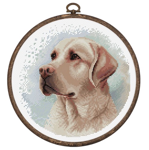 Cross stitch kit with - stitch,