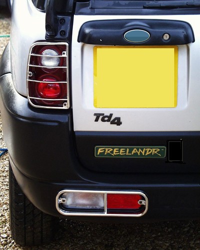 Chrome rear light guard - rear,