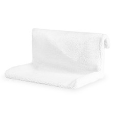 Cat Kitten Hanging Radiator