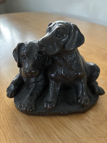 Pair black labrador puppies - of,