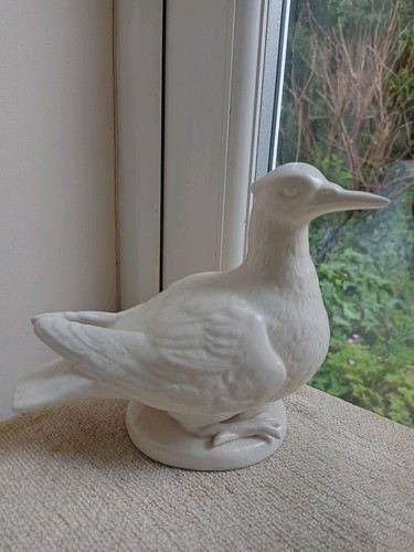 White dove pigeon bird - white,