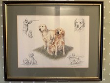 Nigel Hemming Golden Retriever Print