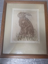 Brown Hare Picture 9/75 Framed