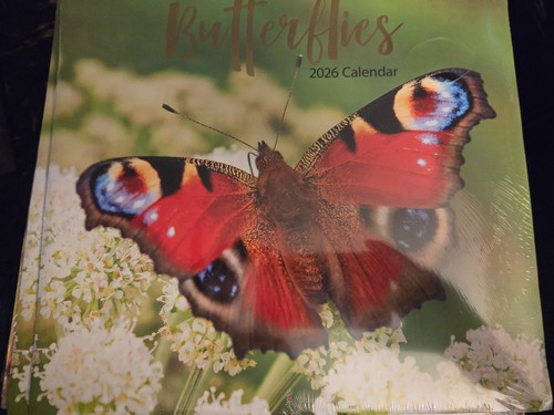 Butterflies wall calendar 2026 - wall,